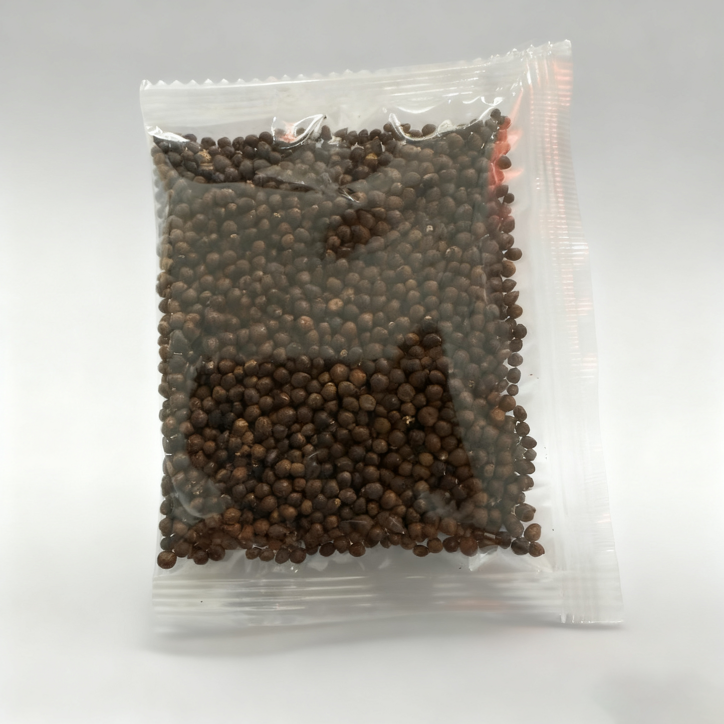 🔥Black Friday Frenzy 50% OFF - Hosta Seeds Perennial Shade Plant for Garden