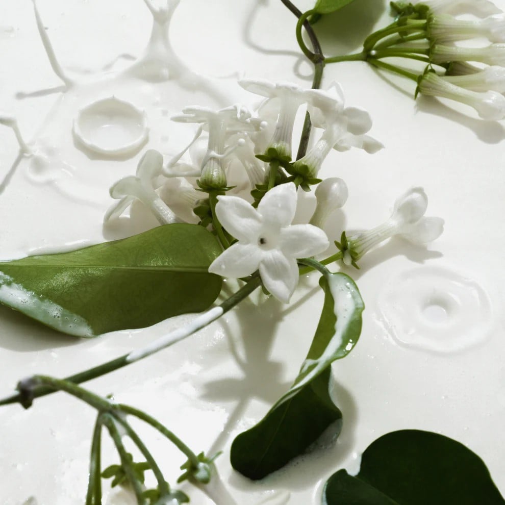 🔥Black Friday Frenzy  56%OFF✨Vanilla & Cream Body Mist Duo 🌿