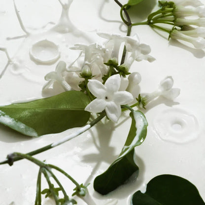 🔥Black Friday Frenzy  56%OFF✨Vanilla & Cream Body Mist Duo 🌿