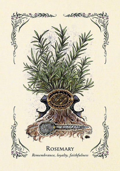 The Green Witch's Oracle Deck